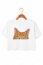 Curious orange tabby cat peeking crop top