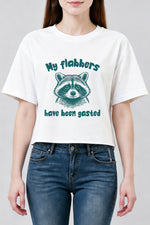 My flabbers have been gasted raccoon crop top