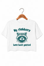My flabbers have been gasted raccoon crop top