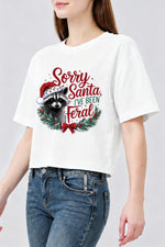 Sorry santa feral raccoon crop top