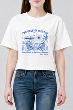 The gulf of mexico since 1550 crop top