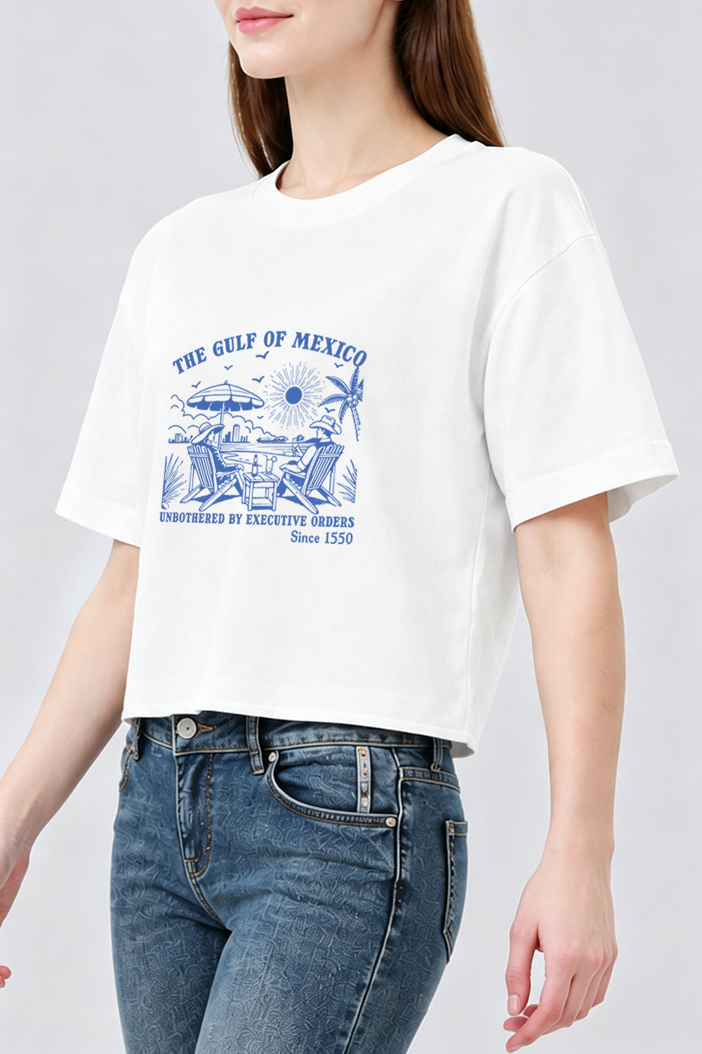 The gulf of mexico since 1550 crop top