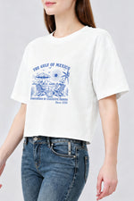 The gulf of mexico since 1550 crop top