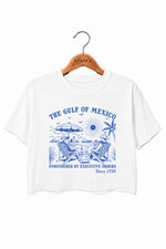 The gulf of mexico since 1550 crop top
